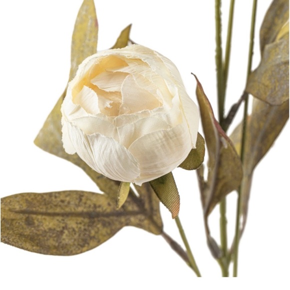 Tan and cream peony stems by Ashland 5 Tan & 5 cream - Picture 4 of 8